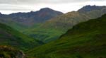 Hatcherpass010