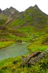 Hatcherpass014