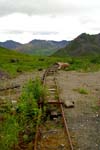 Hatcherpass025