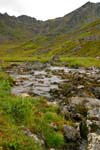 Hatcherpass028