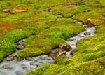 Hatcherpass030