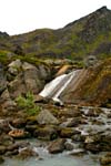 Hatcherpass031