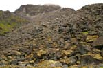 Hatcherpass033