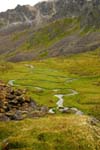 Hatcherpass035