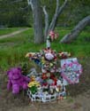 2005mar04041