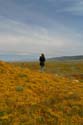mar262005038