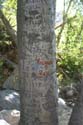 2005aug28048