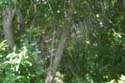 gardens092