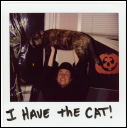 ihavethecat.jpg