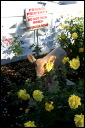 2006dec01013_JFR.JPG