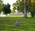 2006mar26033_JFR