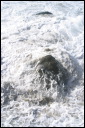 2006dec10131_JFR.JPG