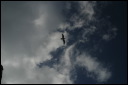 2006dec10175_JFR.JPG