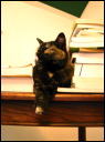 2007jul12118_RJ.JPG