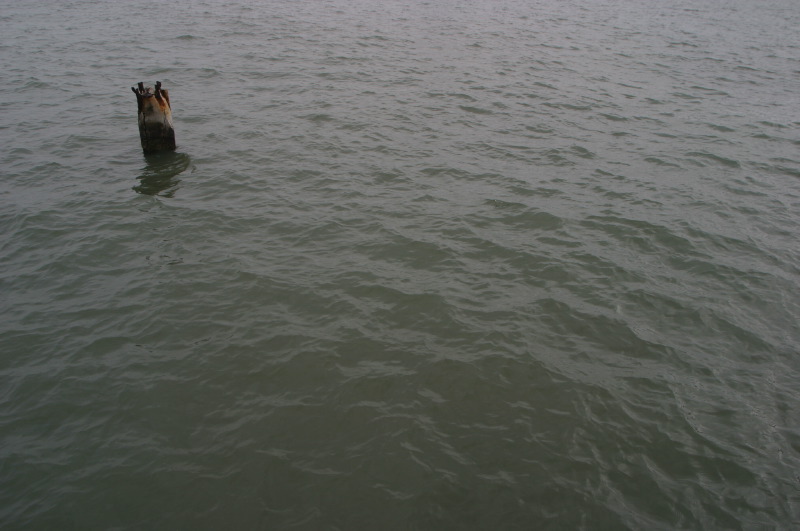 2007oct15059_jfr.jpg