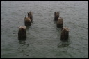 2007oct15050_JFR.JPG