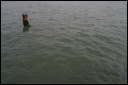 2007oct15059_JFR.JPG