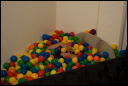 2008aug08041.jpg