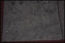 2008jan16071.JPG