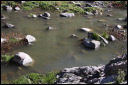 2008feb08050.JPG