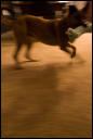 2010jan30004.jpg