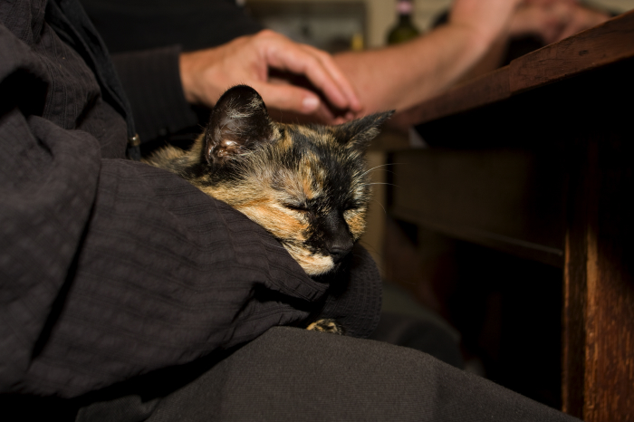 2011sept23034.jpg