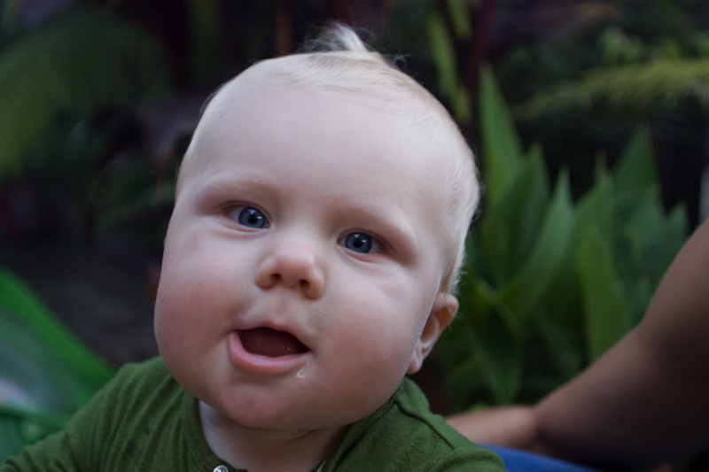 2012may27789.jpg